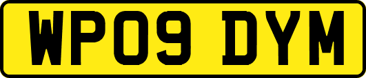 WP09DYM