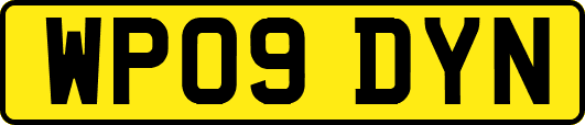 WP09DYN