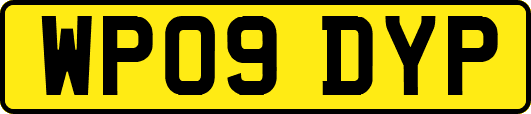 WP09DYP