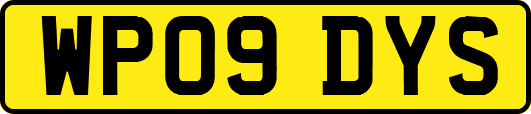 WP09DYS