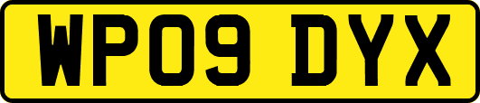 WP09DYX