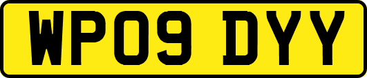 WP09DYY