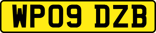 WP09DZB