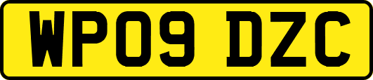 WP09DZC