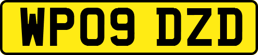 WP09DZD