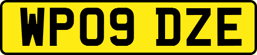 WP09DZE