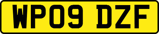 WP09DZF