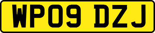 WP09DZJ