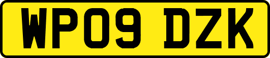 WP09DZK