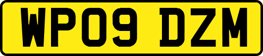 WP09DZM