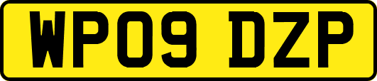 WP09DZP