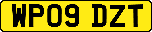 WP09DZT