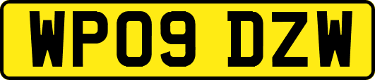 WP09DZW