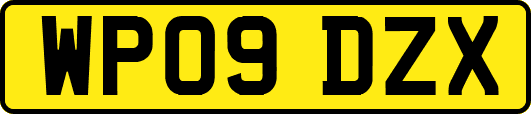 WP09DZX