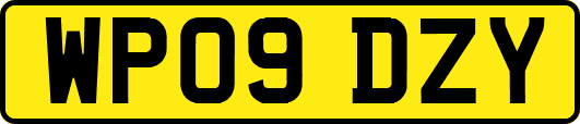 WP09DZY