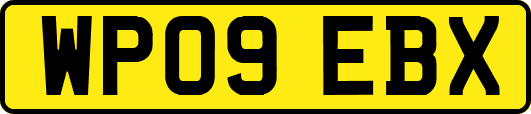 WP09EBX