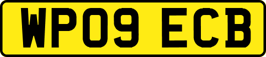 WP09ECB
