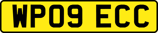 WP09ECC