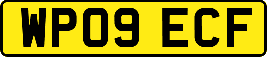 WP09ECF