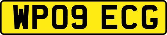 WP09ECG