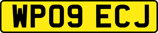 WP09ECJ