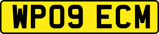 WP09ECM