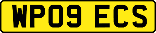 WP09ECS