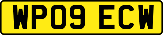 WP09ECW