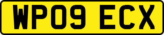 WP09ECX