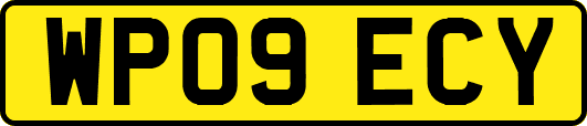 WP09ECY