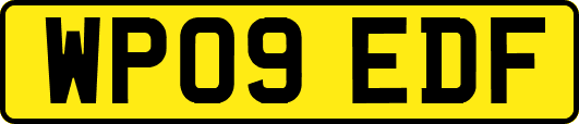 WP09EDF