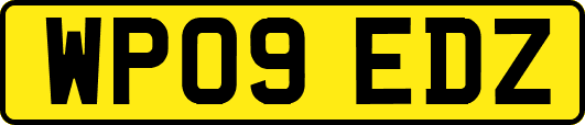 WP09EDZ