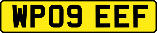 WP09EEF