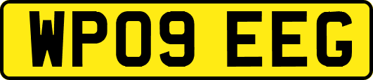 WP09EEG