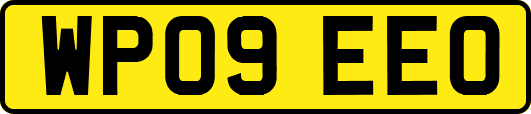 WP09EEO