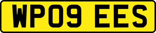 WP09EES