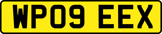WP09EEX