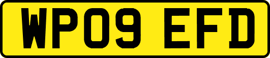 WP09EFD