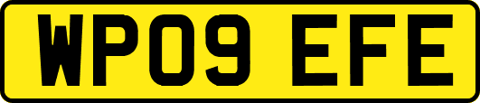 WP09EFE