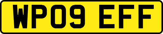 WP09EFF