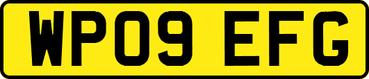 WP09EFG