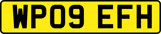 WP09EFH