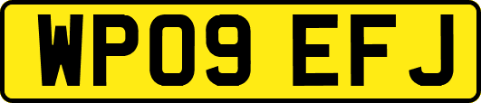 WP09EFJ