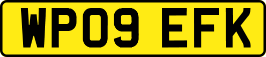 WP09EFK