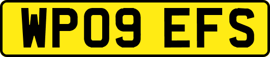 WP09EFS