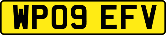 WP09EFV