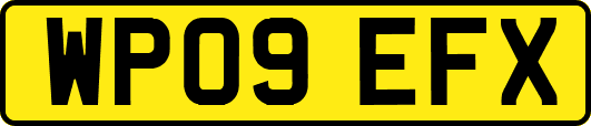 WP09EFX