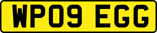 WP09EGG