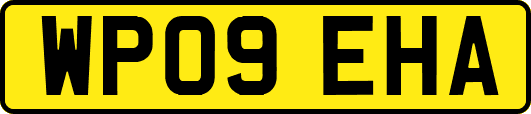 WP09EHA