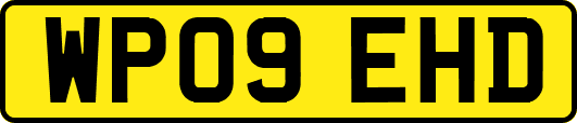 WP09EHD